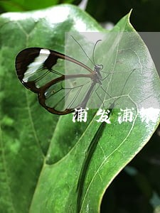 浦发浦银点贷逾期 浦发浦银点贷逾期