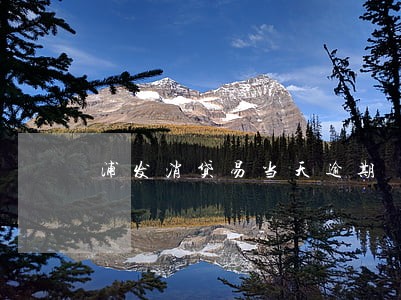 浦发消贷易当天逾期 浦发消贷易当天逾期
