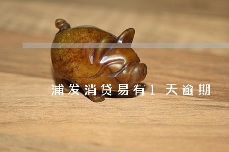 浦发消贷易有1天逾期 浦发消贷易有1天逾期
