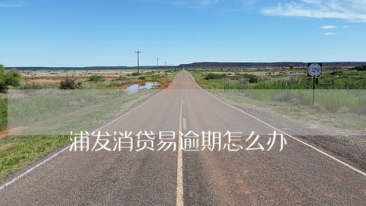 浦发消贷易逾期怎么办 浦发消贷易逾期怎么办