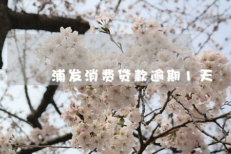 浦发消费贷款逾期1天 浦发消费贷款逾期1天