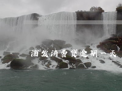 浦发消费贷逾期一天 浦发消费贷逾期一天