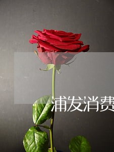 浦发消费金要逾期了 浦发消费金要逾期了
