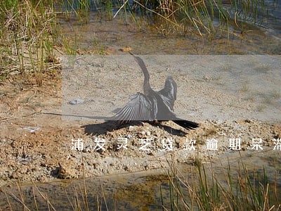 浦发灵芝贷款逾期呆滞 浦发灵芝贷款逾期呆滞