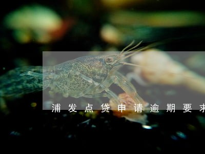 浦发点贷申请逾期要求 浦发点贷申请逾期要求