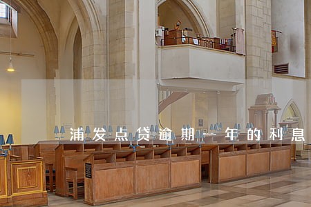 浦发点贷逾期一年的利息多少