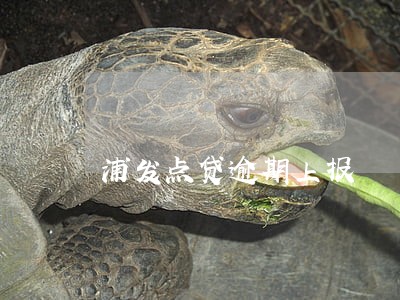 浦发点贷逾期上报 浦发点贷逾期上报