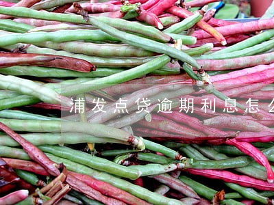 浦发点贷逾期利息怎么算 浦发点贷逾期利息怎么算
