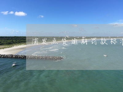 浦发点贷逾期罚款标准