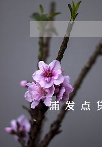浦发点贷逾期还能申请