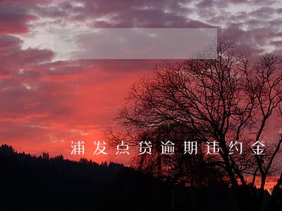 浦发点贷逾期违约金 浦发点贷逾期违约金