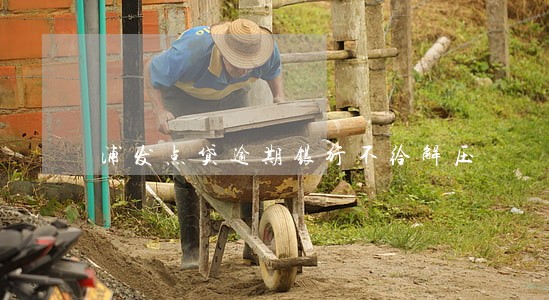 浦发点贷逾期银行不给解压