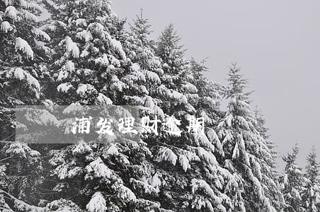 浦发理财逾期 浦发理财逾期