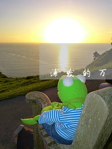 浦发的万用金逾期以后怎么收利息