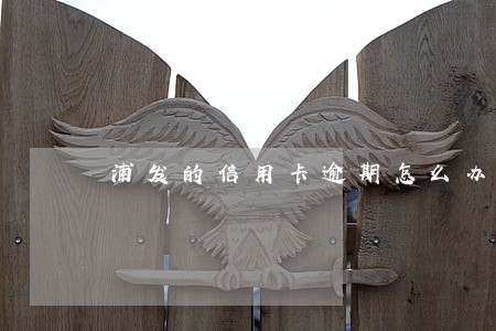 浦发的信用卡逾期怎么办 浦发的信用卡逾期怎么办