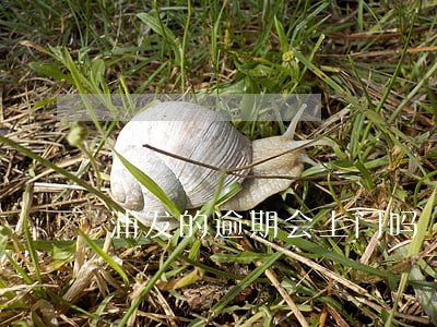 浦发的逾期会上门吗 浦发的逾期会上门吗