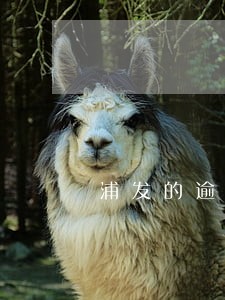 浦发的逾期多久上门 浦发的逾期多久上门