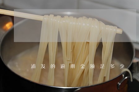 浦发的逾期金额是多少