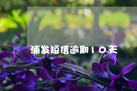 浦发短信逾期10天 浦发短信逾期10天