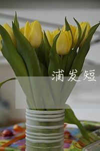 浦发短信逾期了怎么办 浦发短信逾期了怎么办
