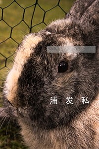 浦发私募逾期 浦发私募逾期