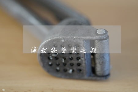 浦发经营贷逾期