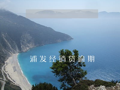 浦发经销贷逾期 浦发经销贷逾期