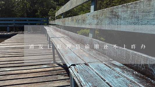 浦发行抵押贷逾期还不上咋办