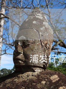 浦发行逾期三个月 浦发行逾期三个月