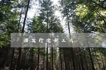 浦发行逾期三天 浦发行逾期三天