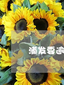 浦发要逾期之前可否协商分期