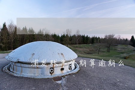 浦发账单分期算逾期么 浦发账单分期算逾期么