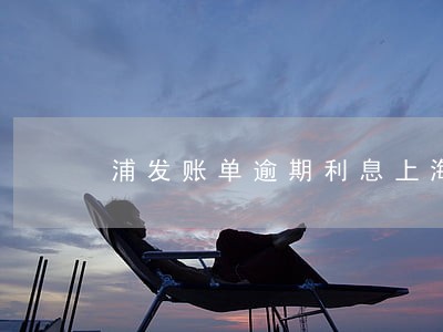 浦发账单逾期利息上海
