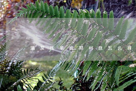 浦发账单逾期利息怎么算的 浦发账单逾期利息怎么算的