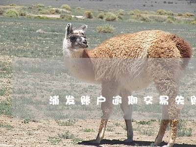浦发账户逾期交易失败 浦发账户逾期交易失败