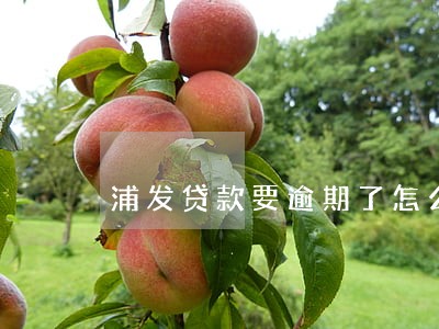 浦发贷款要逾期了怎么调理