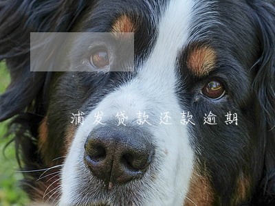 浦发贷款还款逾期 浦发贷款还款逾期