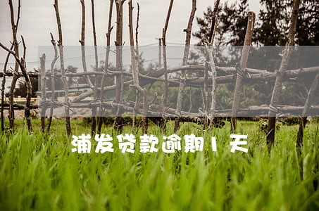 浦发贷款逾期1天 浦发贷款逾期1天