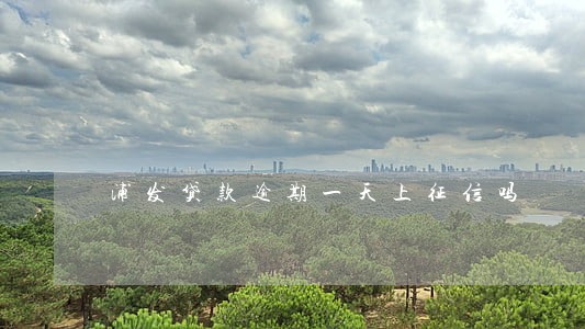 浦发贷款逾期一天上征信吗 浦发贷款逾期一天上征信吗