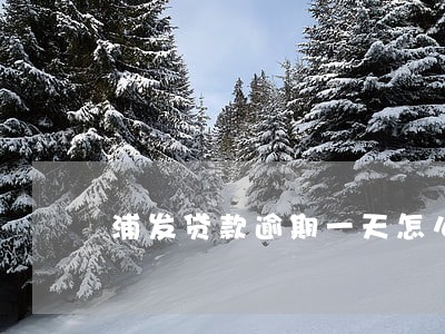 浦发贷款逾期一天怎么办 浦发贷款逾期一天怎么办