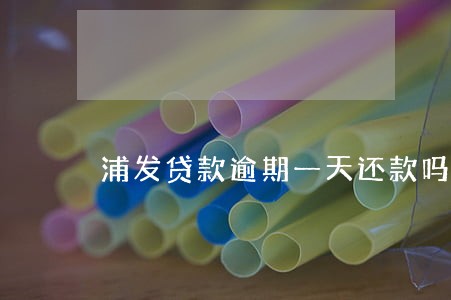 浦发贷款逾期一天还款吗 浦发贷款逾期一天还款吗