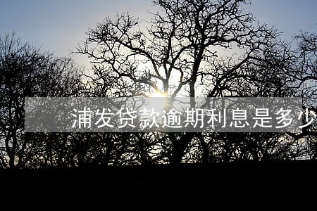 浦发贷款逾期利息是多少 浦发贷款逾期利息是多少