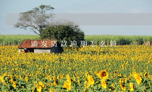 浦发贷款逾期怎么算 浦发贷款逾期怎么算