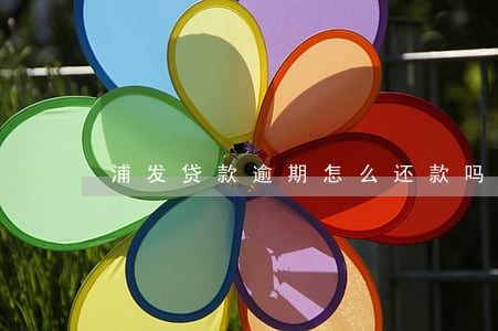 浦发贷款逾期怎么还款吗