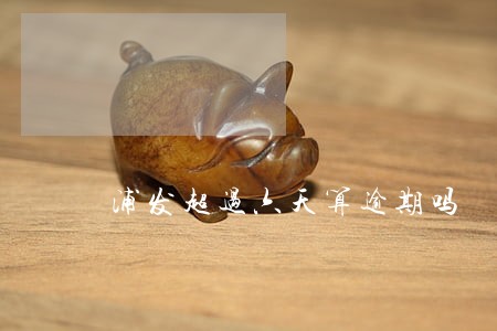 浦发超过六天算逾期吗 浦发超过六天算逾期吗