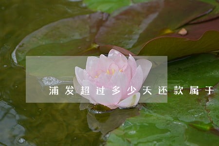 浦发超过多少天还款属于逾期 浦发超过多少天还款属于逾期