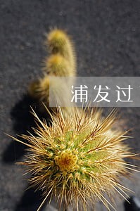 浦发过了三天还款逾期 浦发过了三天还款逾期