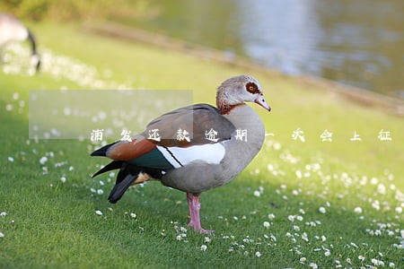 浦发还款逾期一次会上征信吗 浦发还款逾期一次会上征信吗