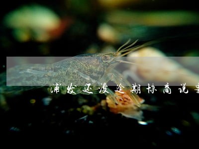 浦发还没逾期协商说要等逾期 浦发还没逾期协商说要等逾期