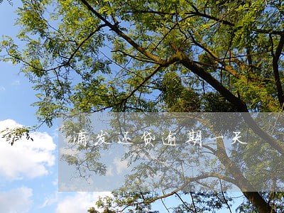浦发还贷逾期一天 浦发还贷逾期一天